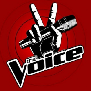 8 Reasons Why The Voice is awesome.