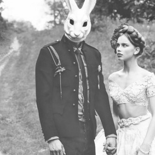 Let's get lost with the white rabbit