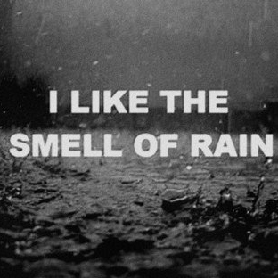 The Smell of Fresh Rain