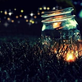 catching fireflies.