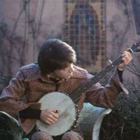 I've Got a Fever and the Only Cure is More Banjo