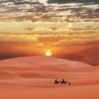 desert expedition #2