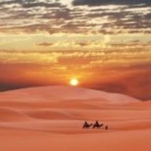 desert expedition #2