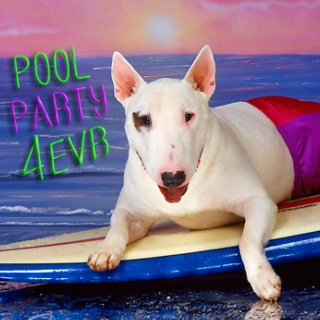 POOL PARTY 4EVER | A Mixtape by Austin Video Bee