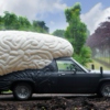brain car wash