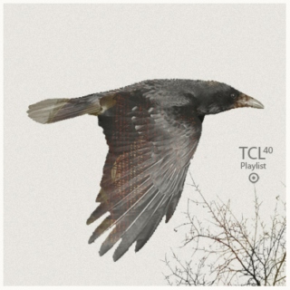 TCL Playlist-40