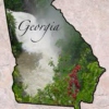 Why Georgia, why?