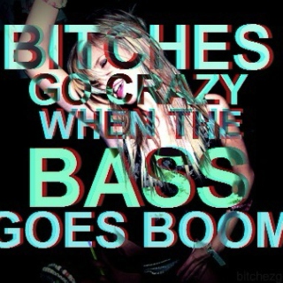 Bitches Go Crazy When The Bass Goes Boom
