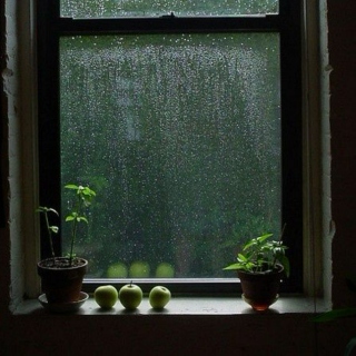 Rain, rain, don't ever go away.