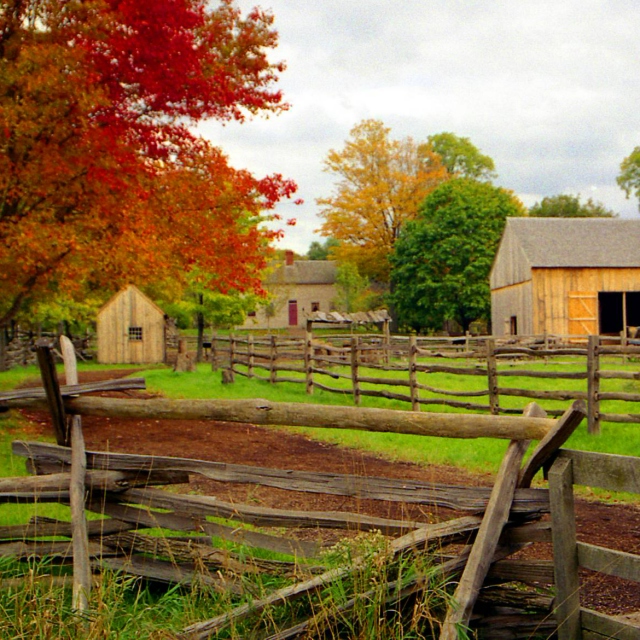 Country In The Fall 