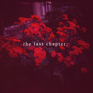 the last chapter