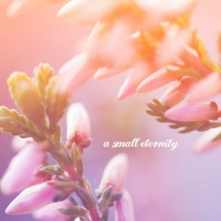 a small eternity