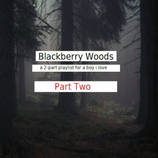 Blackberry Woods - Part Two