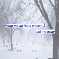Wrap Me Up Like a Present & Put Me Away