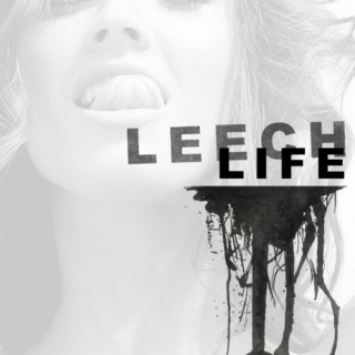 leech life