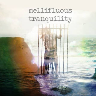 mellifluous tranquility