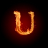 The Alphabet Series: "U"