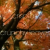 crisp air and crunchy leaves