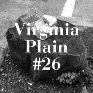 Virginia Plain 26