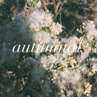  autumnal
