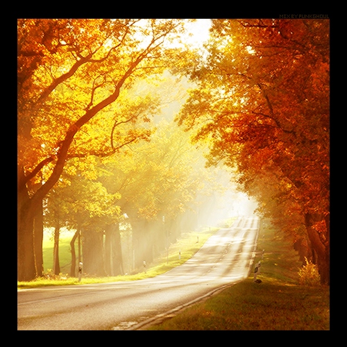 ☀ autumn brights ☀