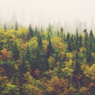 Autumn Mix For the Indie Soul