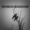 A Crow Chasing The Butterfly
