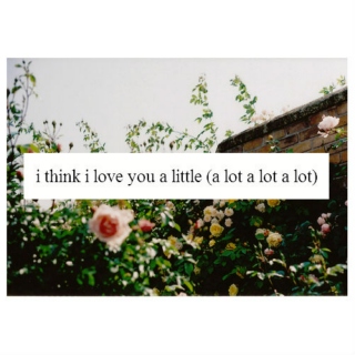 i think i love you a little bit (a lot a lot a lot)