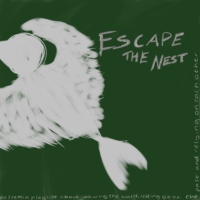 Escape the Nest