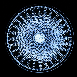 Cymatic Shapes