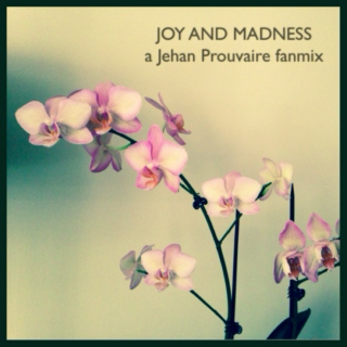 Joy and Madness
