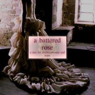 a battered rose
