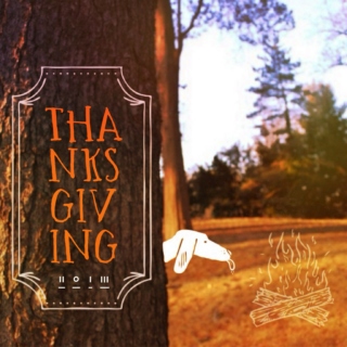 thanksgiving 2013