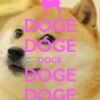 in no particular doge