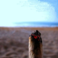 Smoke a Blunt at the Beach