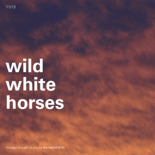 wild white horses