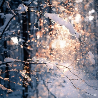 winter love.