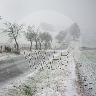 winter winds