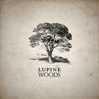 Lupine Woods