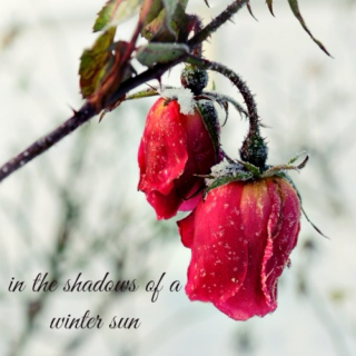 In the Shadows of a Winter Sun
