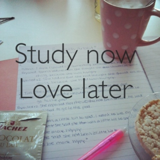 Study now, love later