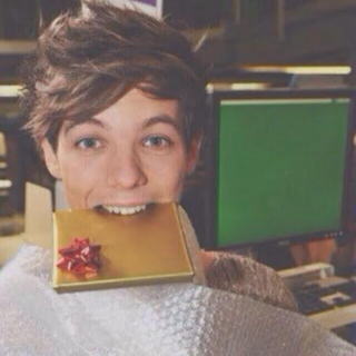 christmas with louis ˘◡˘