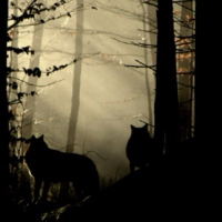 with the wild wolves around you.