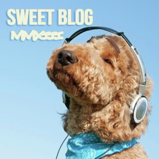 Sweet Blog MMXIII