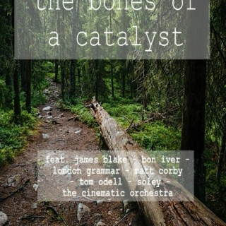 the bones of a catalyst