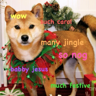 wow much festive
