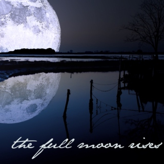 the full moon rises