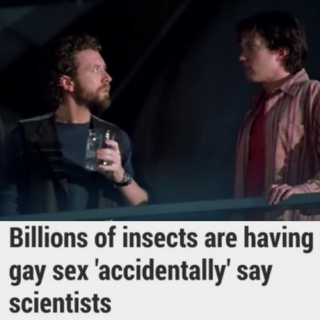 science isnt ready for Gay Bugs