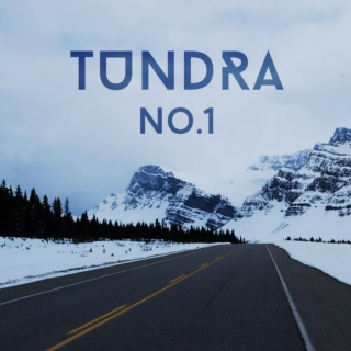 Tundra No. 1