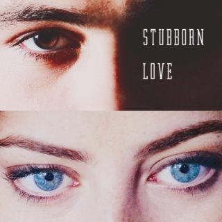 stubborn love